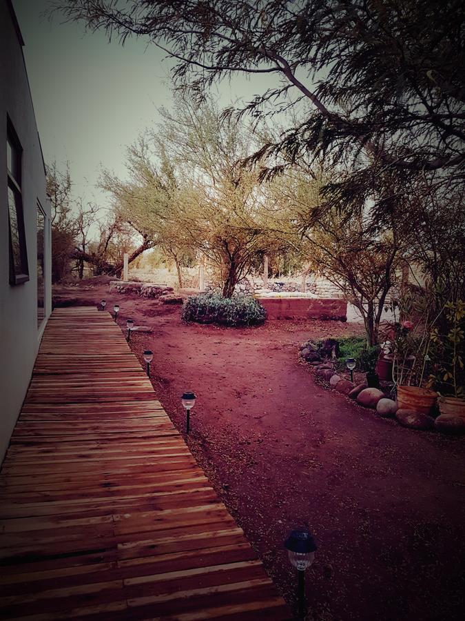 Lodge Don Felix ซานเปโดร เด อาตากามา ภายนอก รูปภาพ
